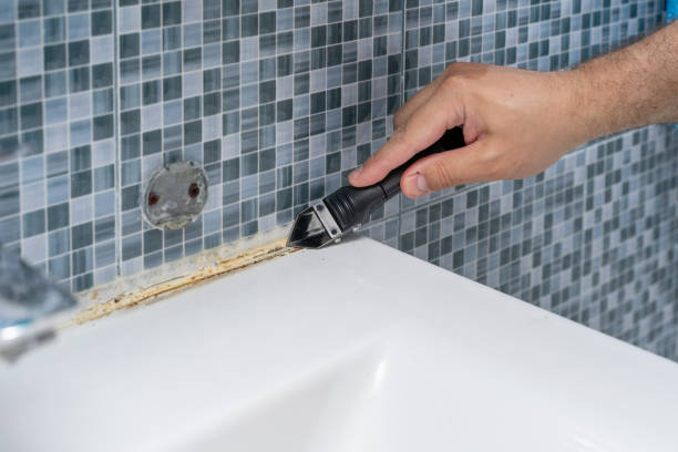Best Preventive Mold Services in Paw Paw Lake, MI