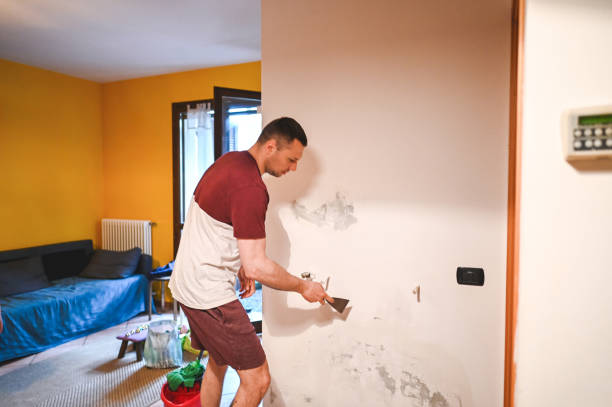 Best Health and Safety Mold Remediation in Paw Paw Lake, MI